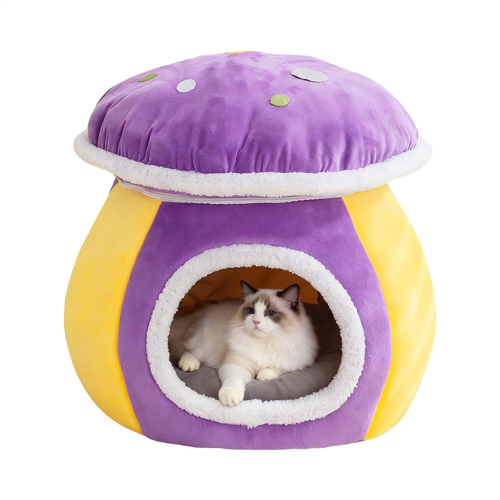 Casas para gatos de interior y cachorros en apartamentos pequeños