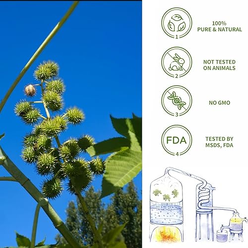 Miniatura 25 de Yethious Aceite esencial de manzanilla orgánico 100% puro aceites de aromaterapia para difusor, piel, cabello y cara, 0.3 fl oz Manzanilla,Flor