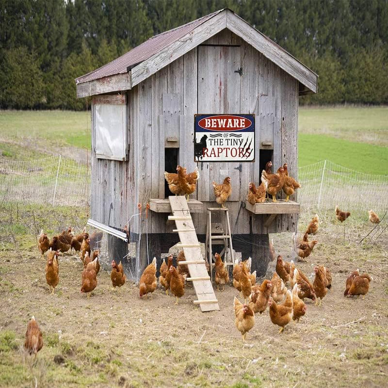 Miniatura 5 de Cartel de pollo, divertido gallinero, granja, hogar, cocina, al aire libre, decoración de gallogallina, letrero de metal de aluminio de 12 x 8
