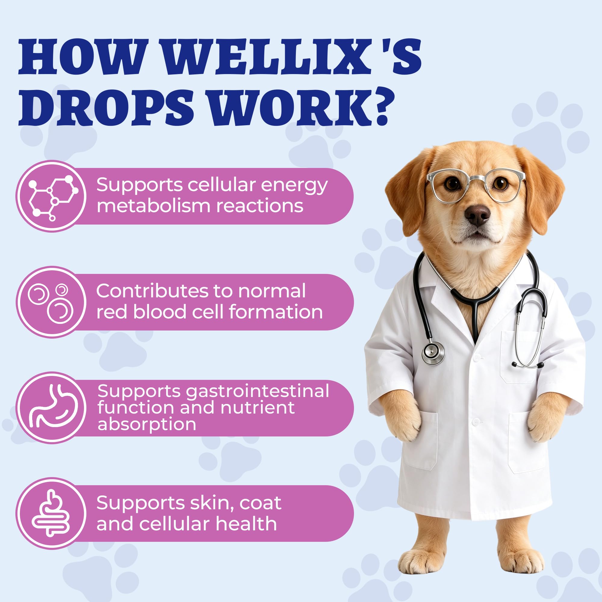 Wellix 4.06 fl oz Vitamin B Complex Drops with Taurine for Dogs and Cats — Amazon image 6