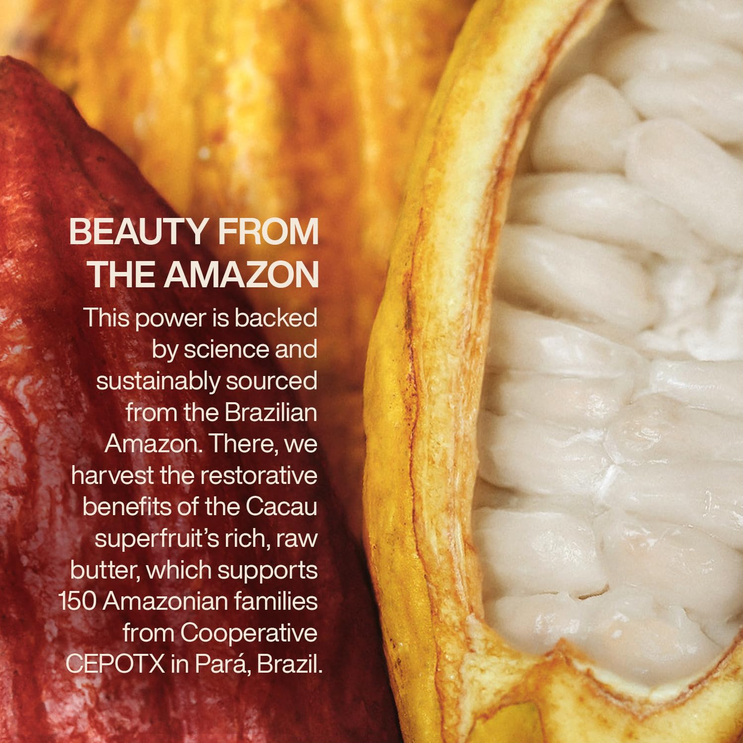 Natura Ekos Cacau Collagen Boosting Body Lotion - Vegan Skin Care - Moisturize & Firm Skin Texture - Boost Collagen Production - Brazilian Beauty Secrets - Self Care & Body Care - 13.5 fl oz (400 ml) - Image 9