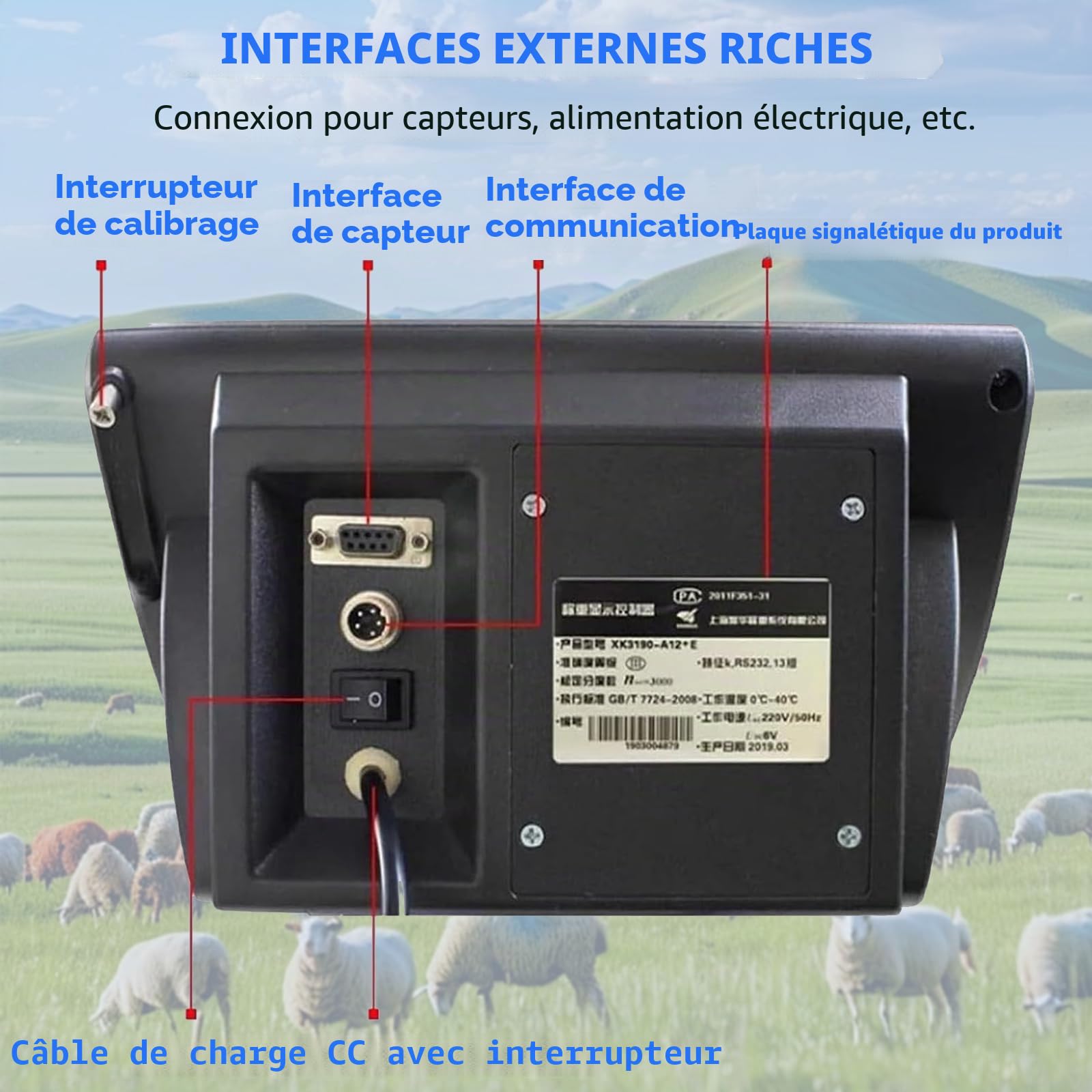 5000kg Kit de Balance pour bétail Industriel, Kit Balance Au Sol Haute Précision, cellule de charge à compression de poutre en acier, Pour Bovins, Moutons, Porcs, Chèvres, Chevaux