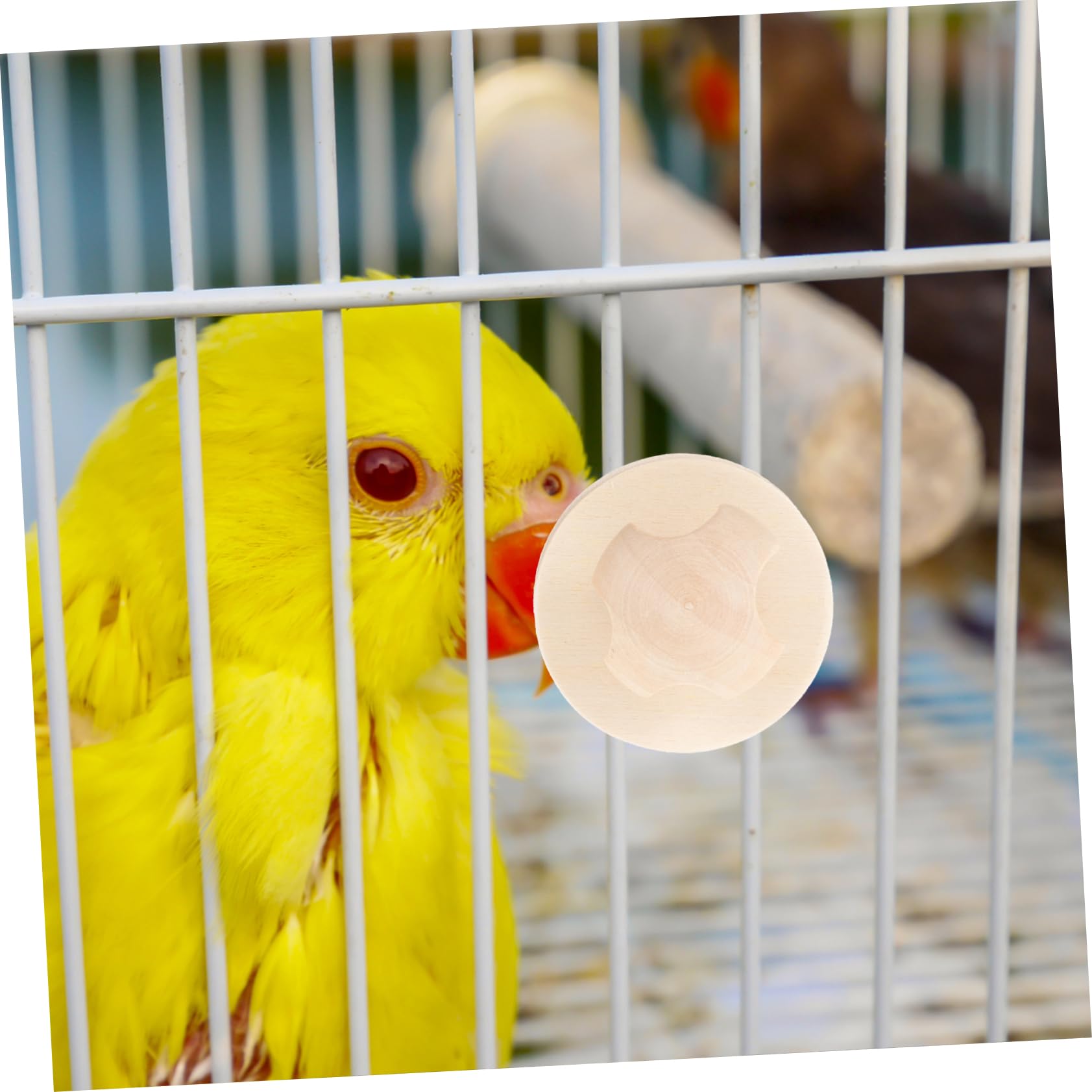 Garneck 2pcs Wooden Screws for Birdcage Accessories Durable Fixing Screws for Bird Perches and Easy Installation for Bird Feeders and Stands