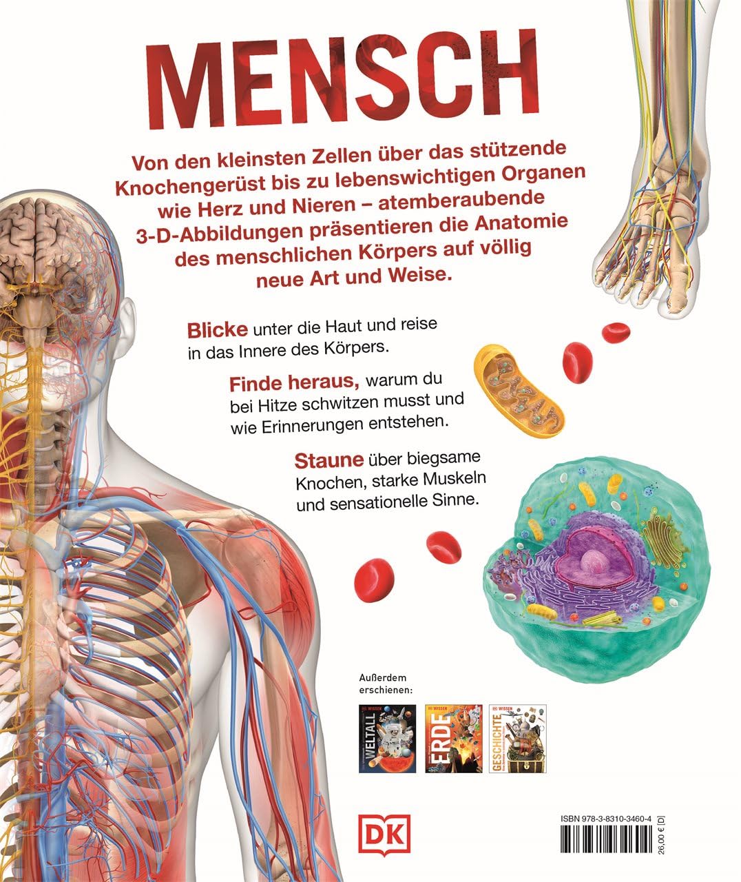 Wissen - Mensch: Der Körper in spektakulären Bildern