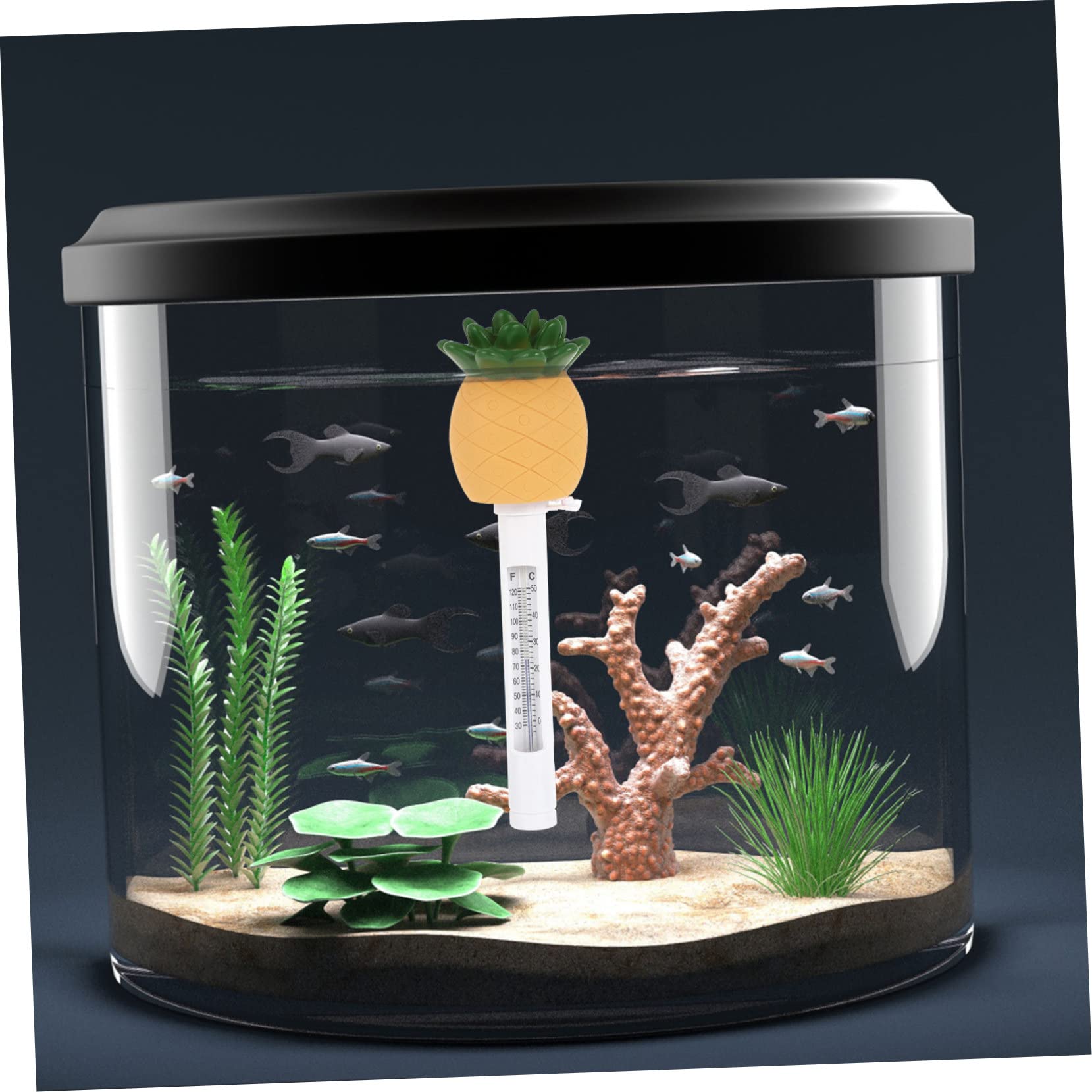 DECHOUS Termometro Piscina Thermoter Camera Thermoter Piccola Terme Termame. Di Temperatura Accurato Pond Meter Con Stringa Bambino Corda Plastica