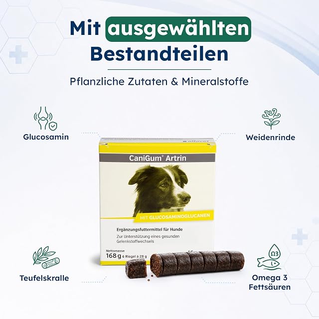 Foto 4 de 7 de Alfavet CaniGum Artrin - Alimento complementario para Perros