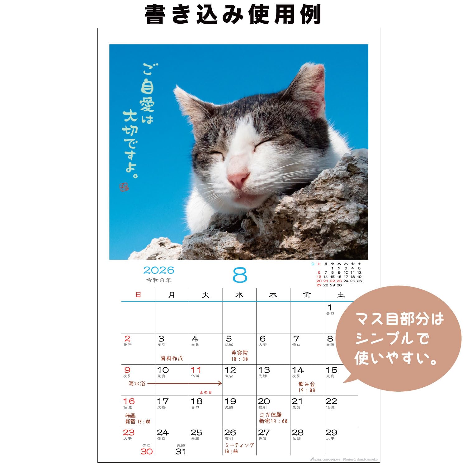 Amazon | アクティブコーポレーション 2026 カレンダー 壁掛け