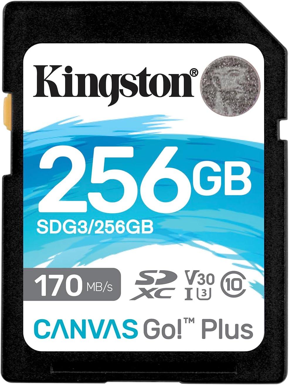 Kingston 256GB SDXC Canvas Go Plus 170MB/s Read UHS-I, C10, U3, V30 ...