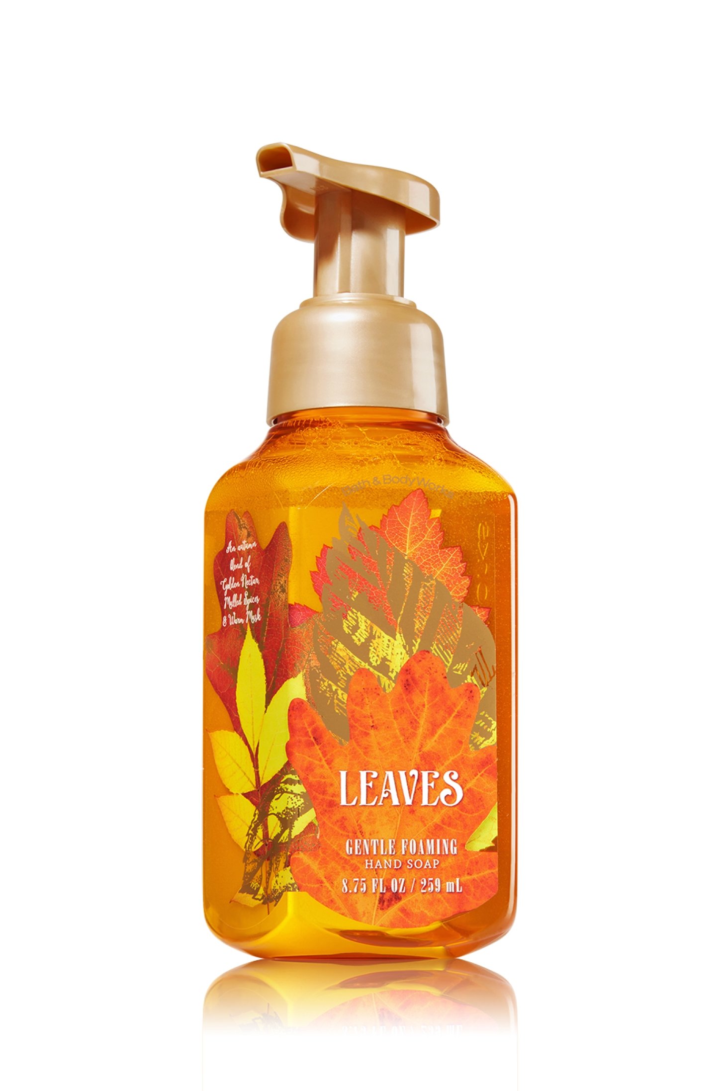 Gentle Foaming Hand Soap Leaves