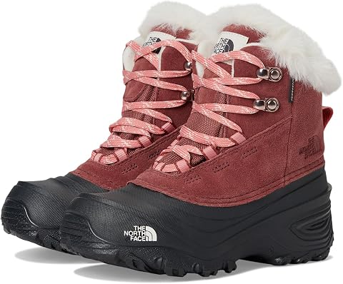Детские ботинки The North Face Shellista V Lace Waterproof, цвет: Красный