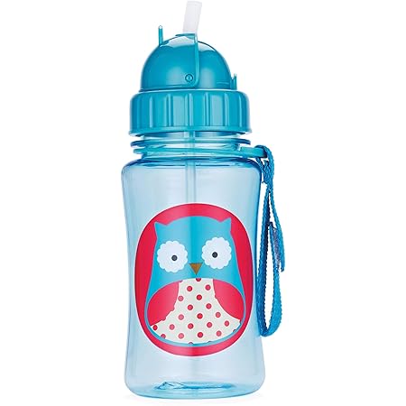 Skip Hop Toddler Sippy Cup with Straw, Zoo Steel Straw Bottle, Owl