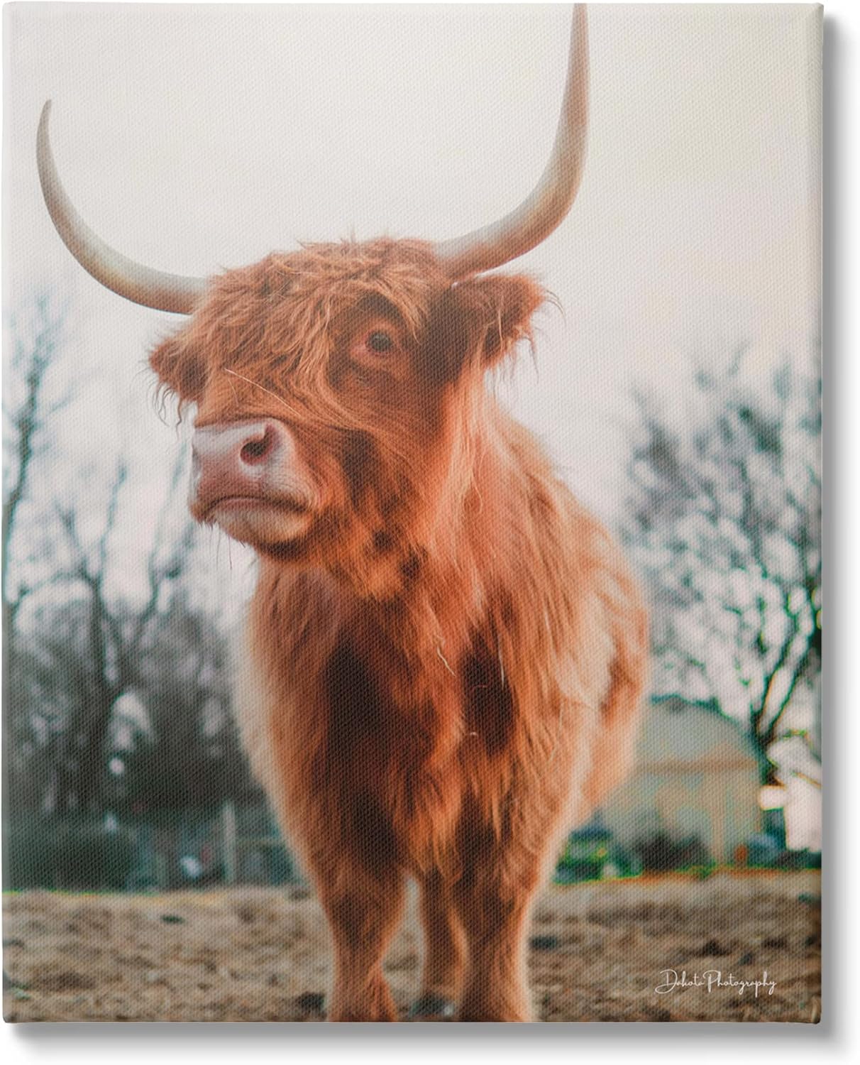 Stupell Industries Highland Cattle Cow Grazing Rural Farmland Sunlight, Design by Dakota Diener