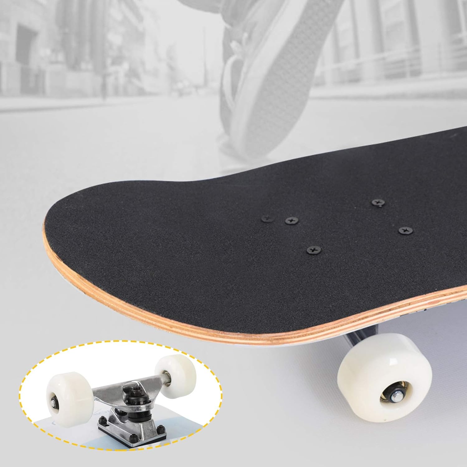 ライアン様専用 ホソウリゴケ 楽天市場】ホソウリゴケの通販