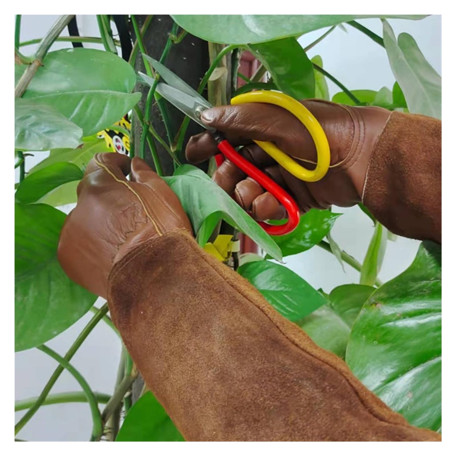 Guanti da Potatura for Uomo Donna Guanti da Giardinaggio in Pelle di Capra Guanti da Potatura Antispina con Protezione Del'avambraccio Respirabile Comodo(M)