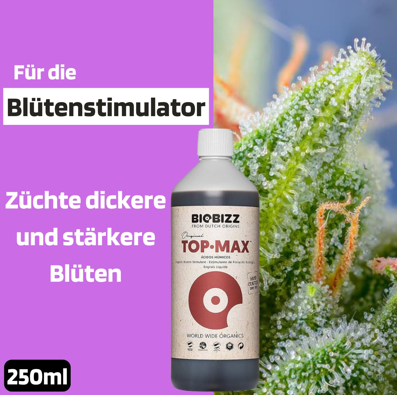 Starter Pack Biobizz Dünger Set | Starterset GrowSet Indoor | Naturdünger | Flüssiger | Wachstum und Blüte | 100 % organisch | Für 10–30 Pflanzen | Für Anfänger geeignet | Einfache Anwendung