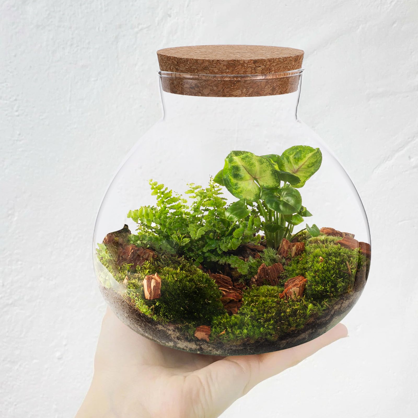 GANAZONO Bottiglia Ecologica Micro Paesaggio Vasi da Terrario Bottiglia di Paesaggio Terrari Vegetali in Bottiglia di Paesaggio Vuoto Sughero Domestico Ufficio Palla di