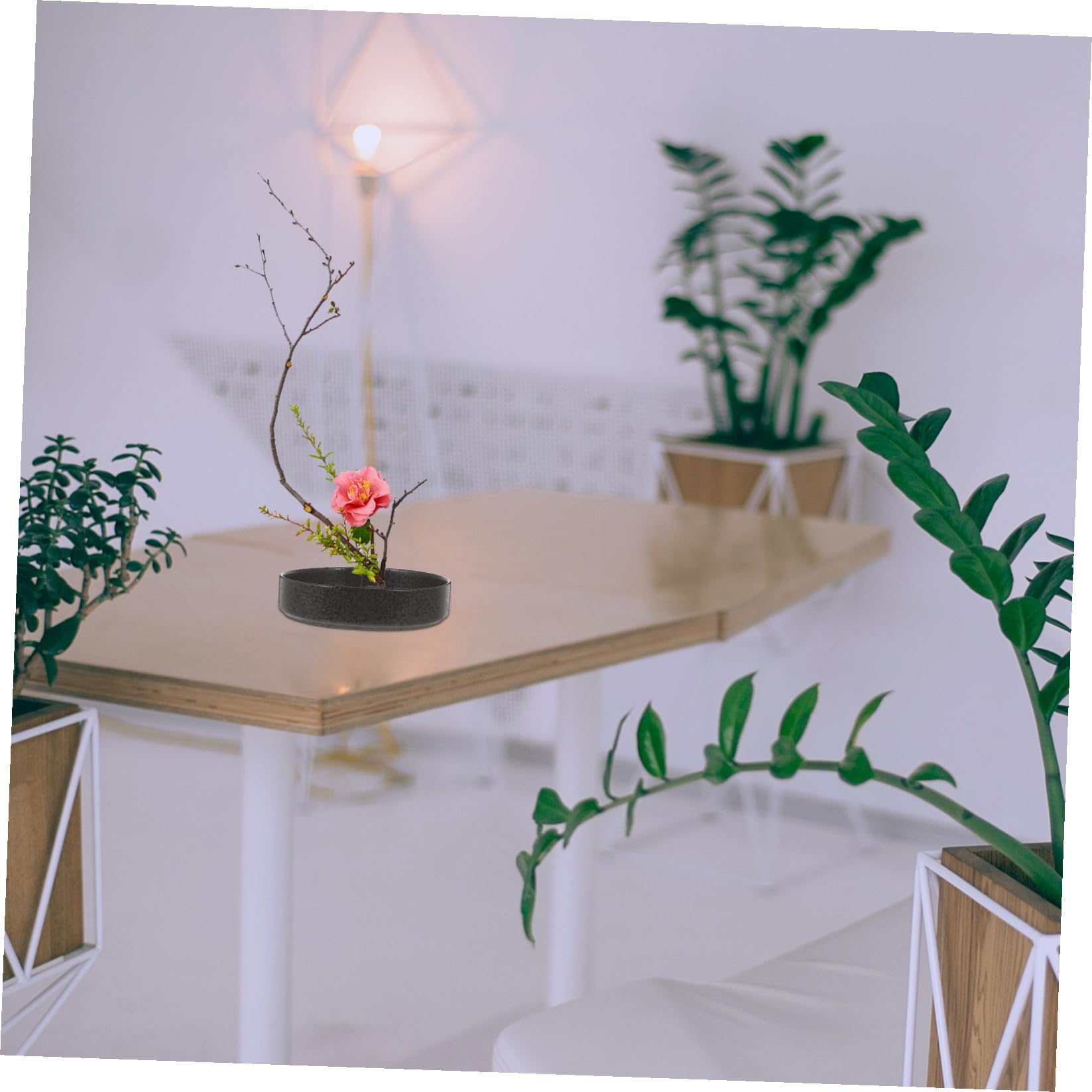 Keramik Blumentopf Untersetzer 20cm Pflanzgefäß in Schwarz Robust und Dekorativ für Balkon und Wohndeko