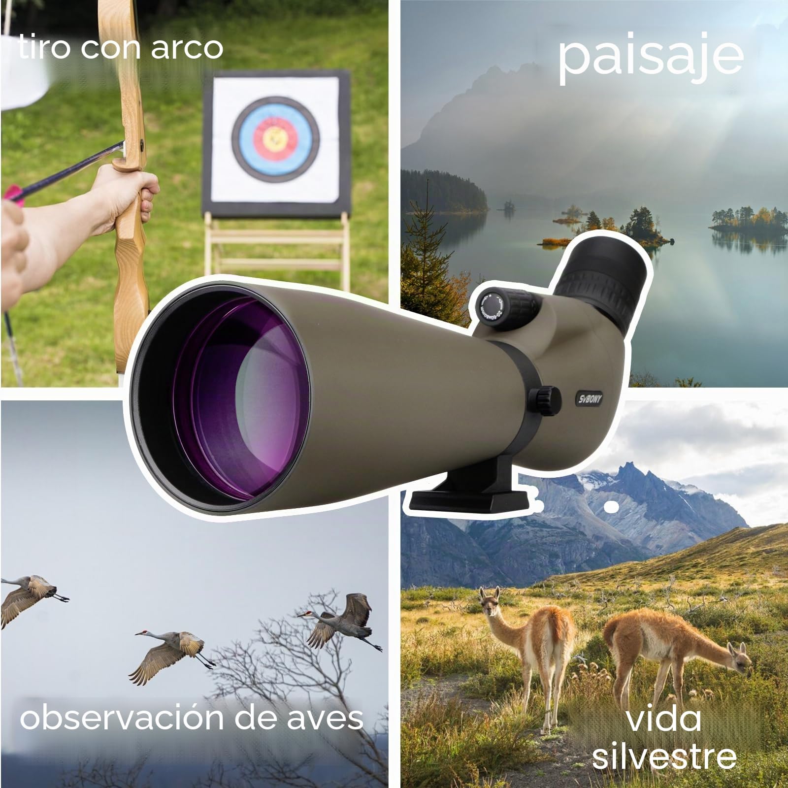 Svbony SV401 Telescopio Terrestre, 20-60X80 Angular Telescopio Terrestre con Trípode, FMC Óptica Impermeable Catalejos para Observación de Aves, Tiro al Blanco