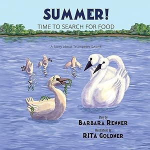 Summer! Time to Search for Food