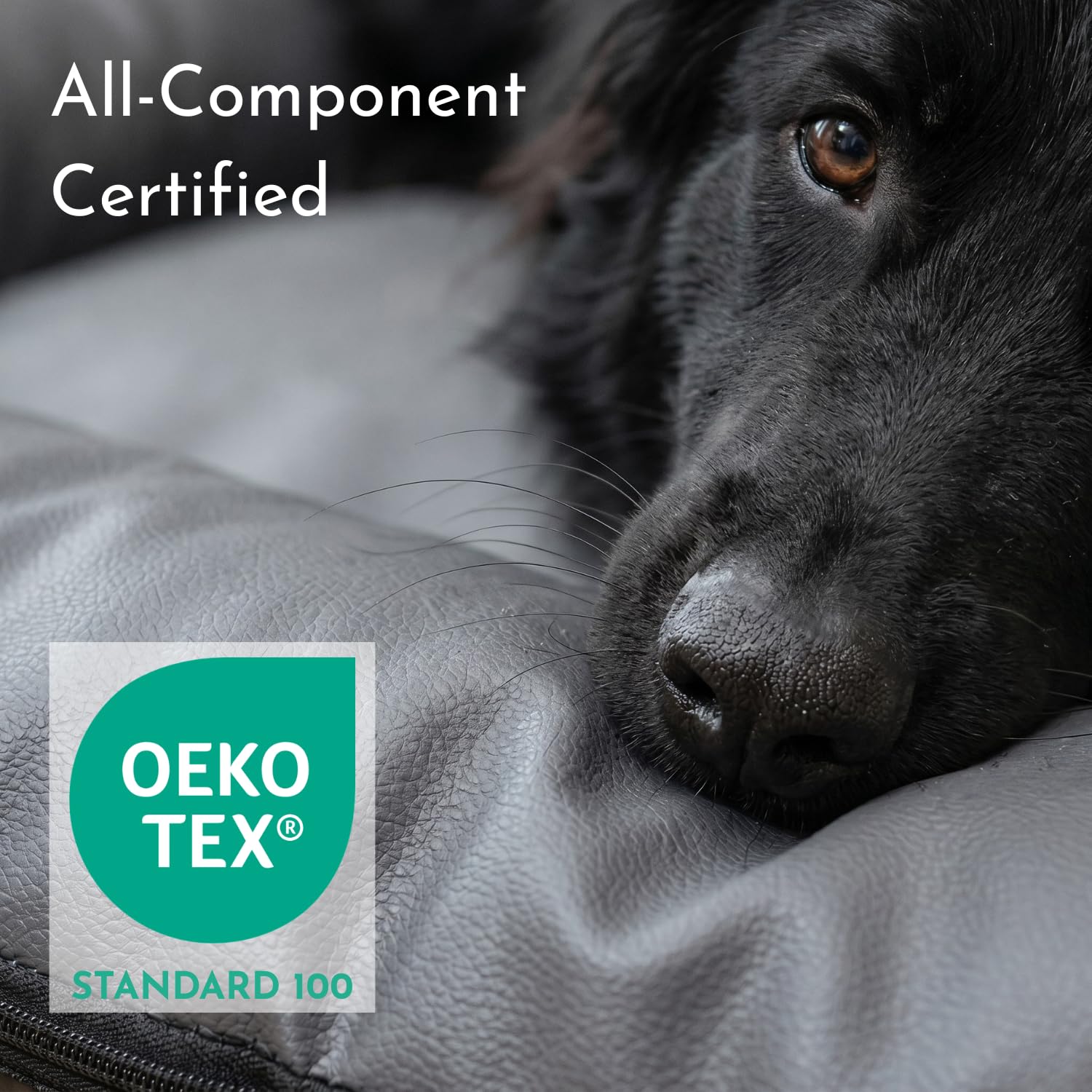 4L Textil Hundebett Kunstleder Hundematratze Hundekissen große Hunde | Wasserabweisend | Abwischbar | Robust