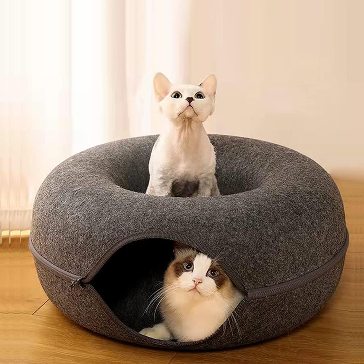 Tunnelvormig Schattig Kattenmandje met Rits Waarin Katten Zich Kunnen Verstoppen kopen vanaf een prijs van 38 Tunnelvormig Schattig Kattenmandje met Rits Waarin Katten Zich Kunnen Verstoppen kopen vanaf een prijs van 38