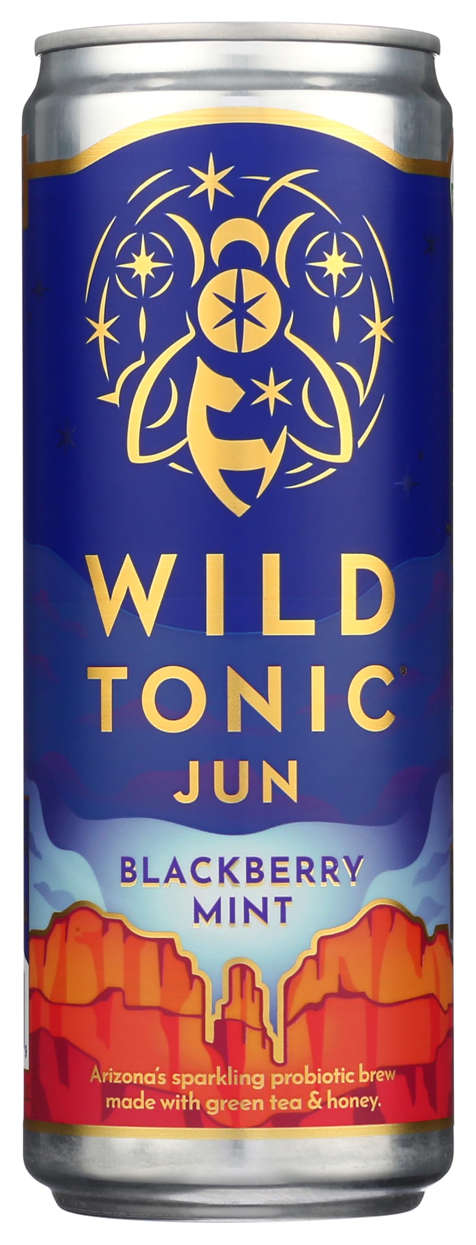 Amazon.com: Wild Tonic, Kombucha Blackberry Mint Organic, 12 Fl Oz
