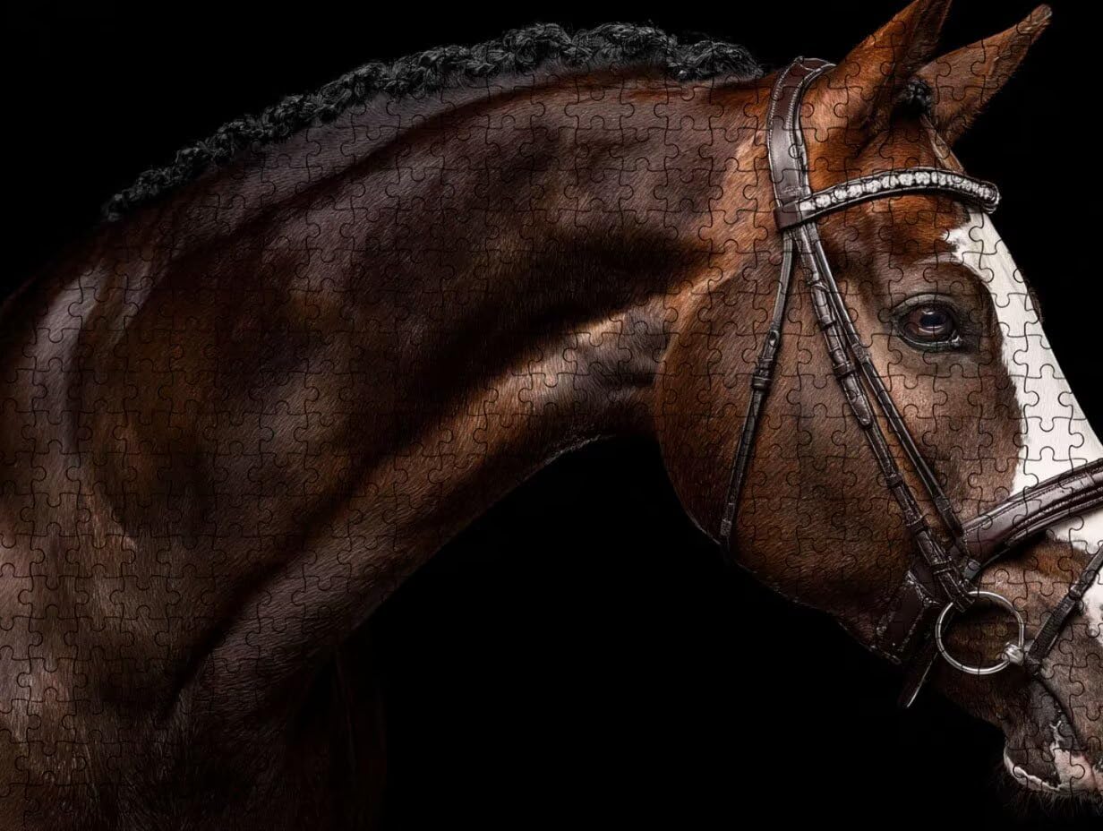 Puzzle 1000 para Adultos, Caballo MarróN, Rompecabezas Clásicos LDYQS7-723