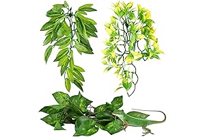 KATUMO Gecko Plants: Enhance Your Reptile's Habitat