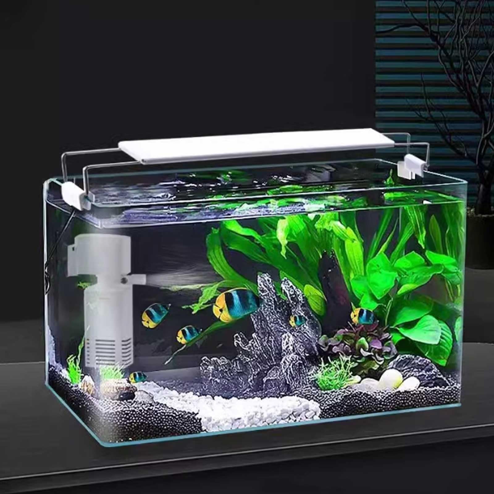 Acquario per Pesci Acquario in Vetro Bordo Curvo Soggiorno Piccolo Acquario Desktop Acquario in Vetro Trasparente Scatola for Allevamento Tartarughe Acquari(25x16x18cm)