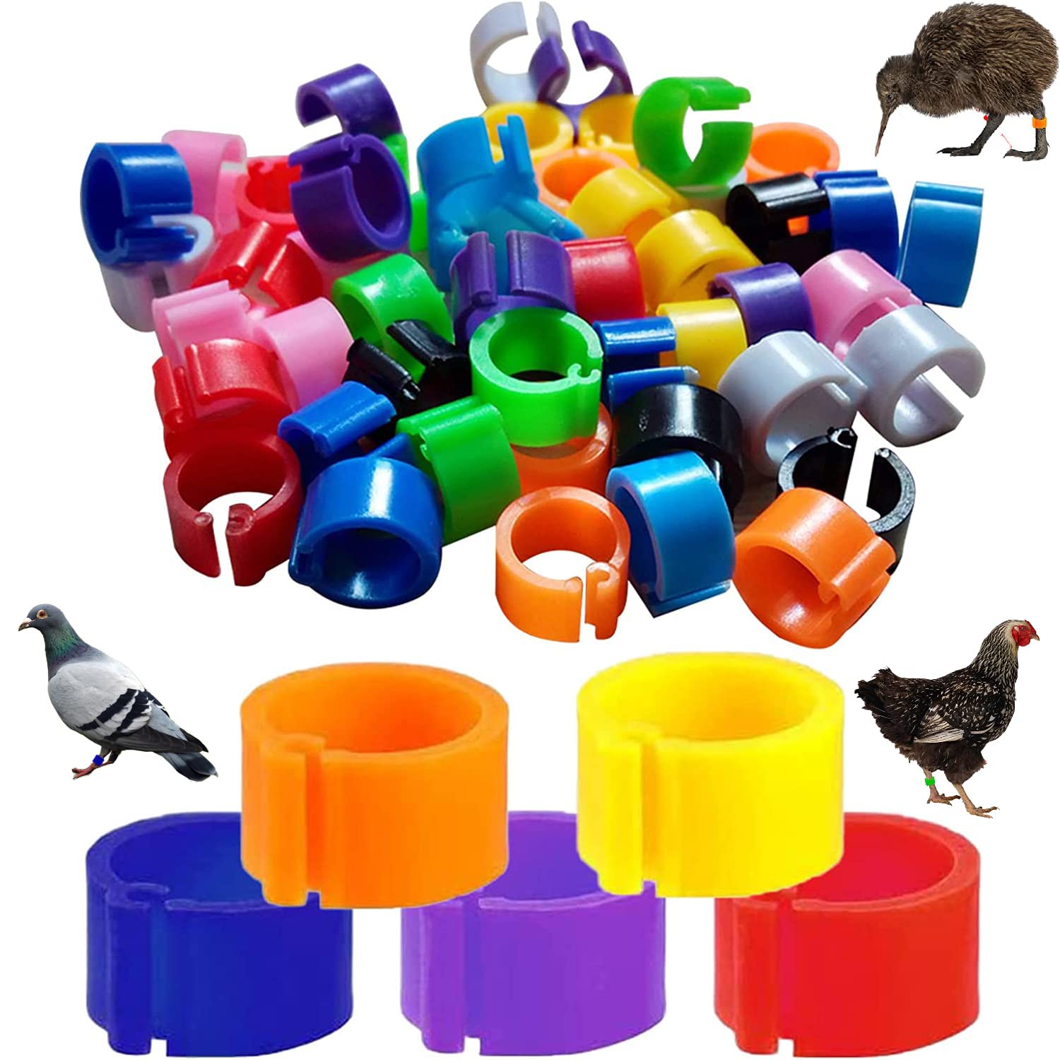 Anelli Per Zampe Pollame Kingrun - 100 Pezzi Numerati E Colorati, Per Galline, Anatre, Quaglie E Piccioni - Foto 4
