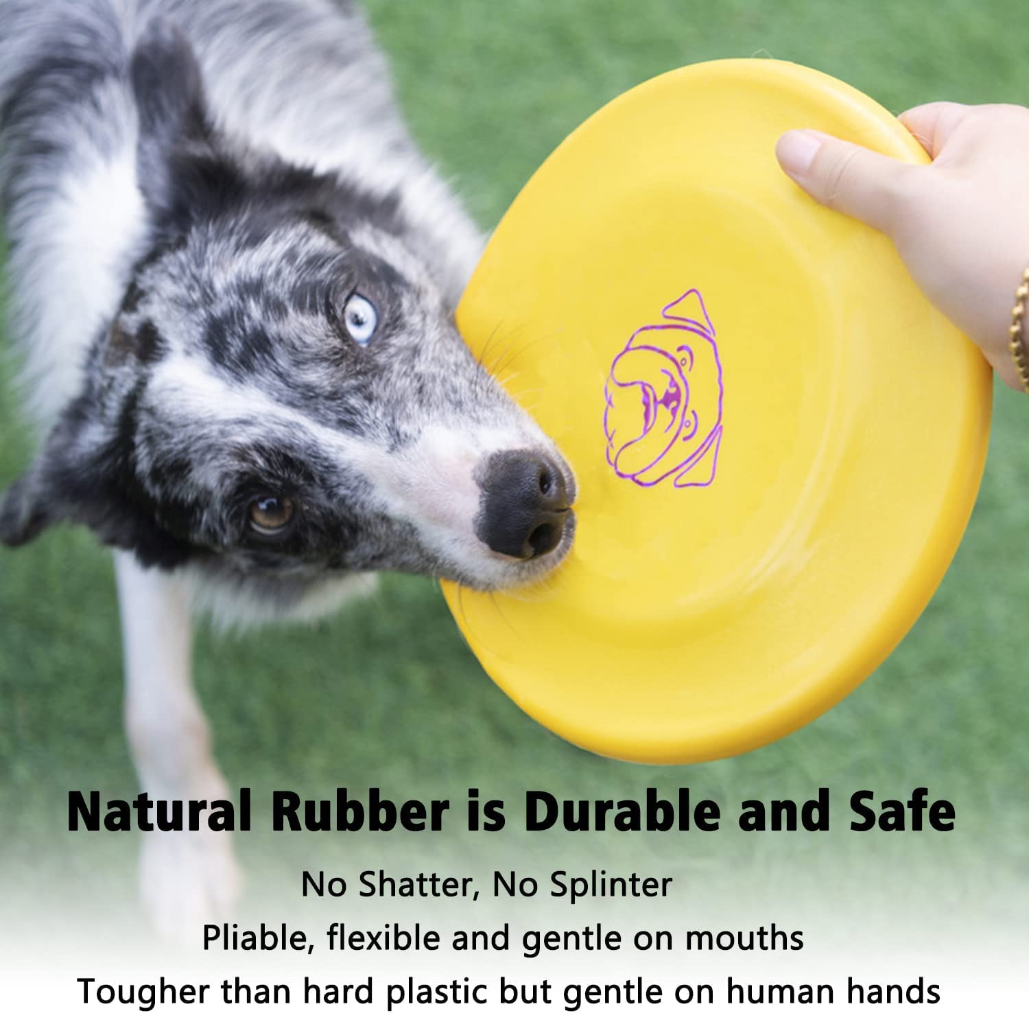 Amazon | XIGOU 犬用フライングディスク 3個 競技用犬用フライヤー 犬