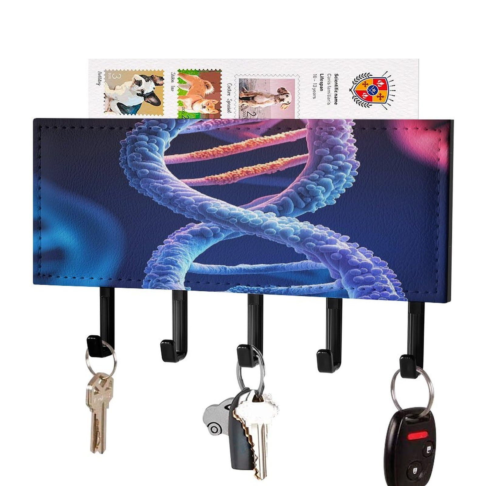 FekiLoot DNA Genetic Helix Key Holder Wall Mount Key Hanger with 5 Hooks Decorative Key Rack Hanging Key Hooks with Mail Organizer Key Holder for Wall Living Room Kitchen Bathroom Hallway Black