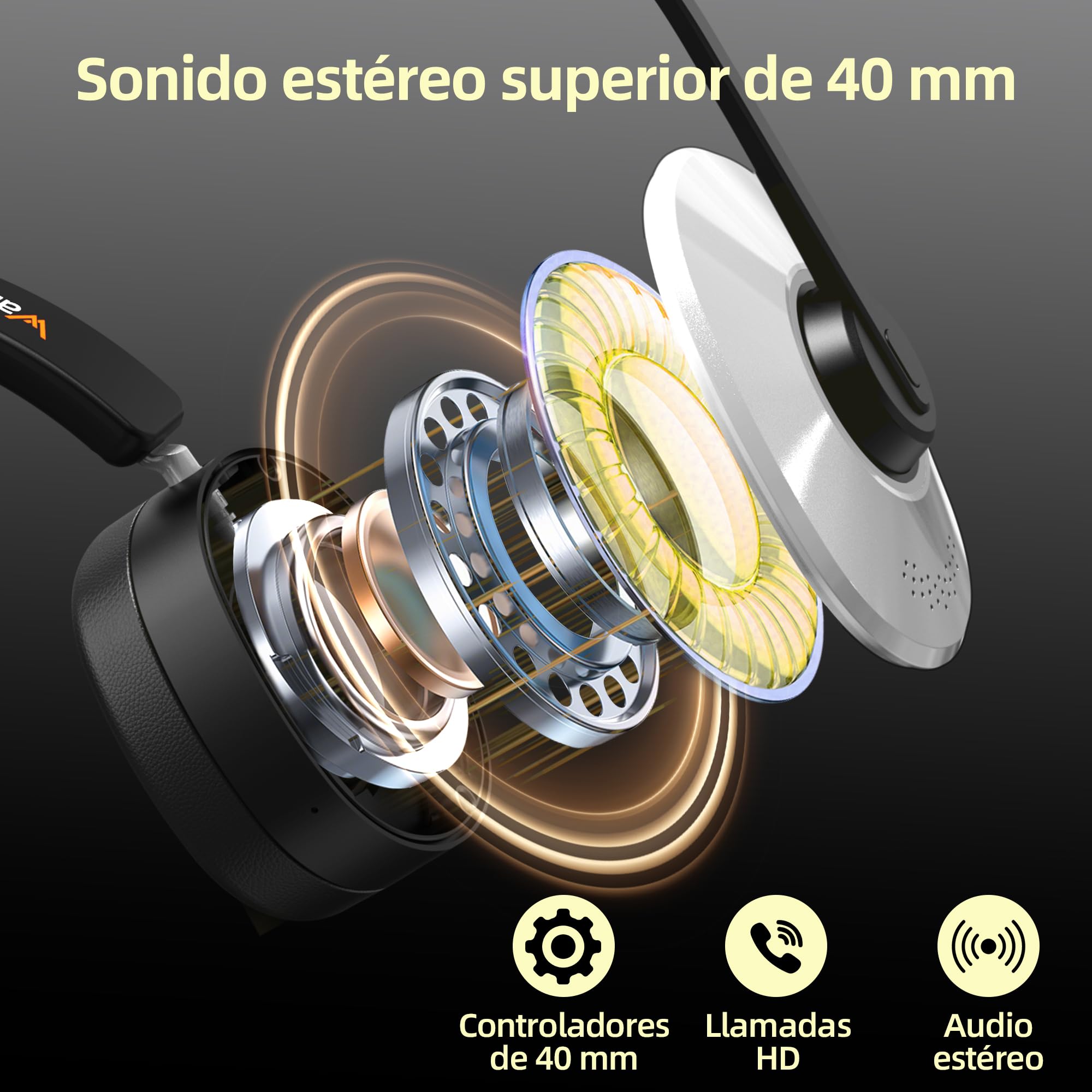 Wantek Auriculares inalámbricos Bluetooth con micrófono, estación de Carga, Dongle USB para PC Oficina Zoom Skype Laptop Centro de Llamadas