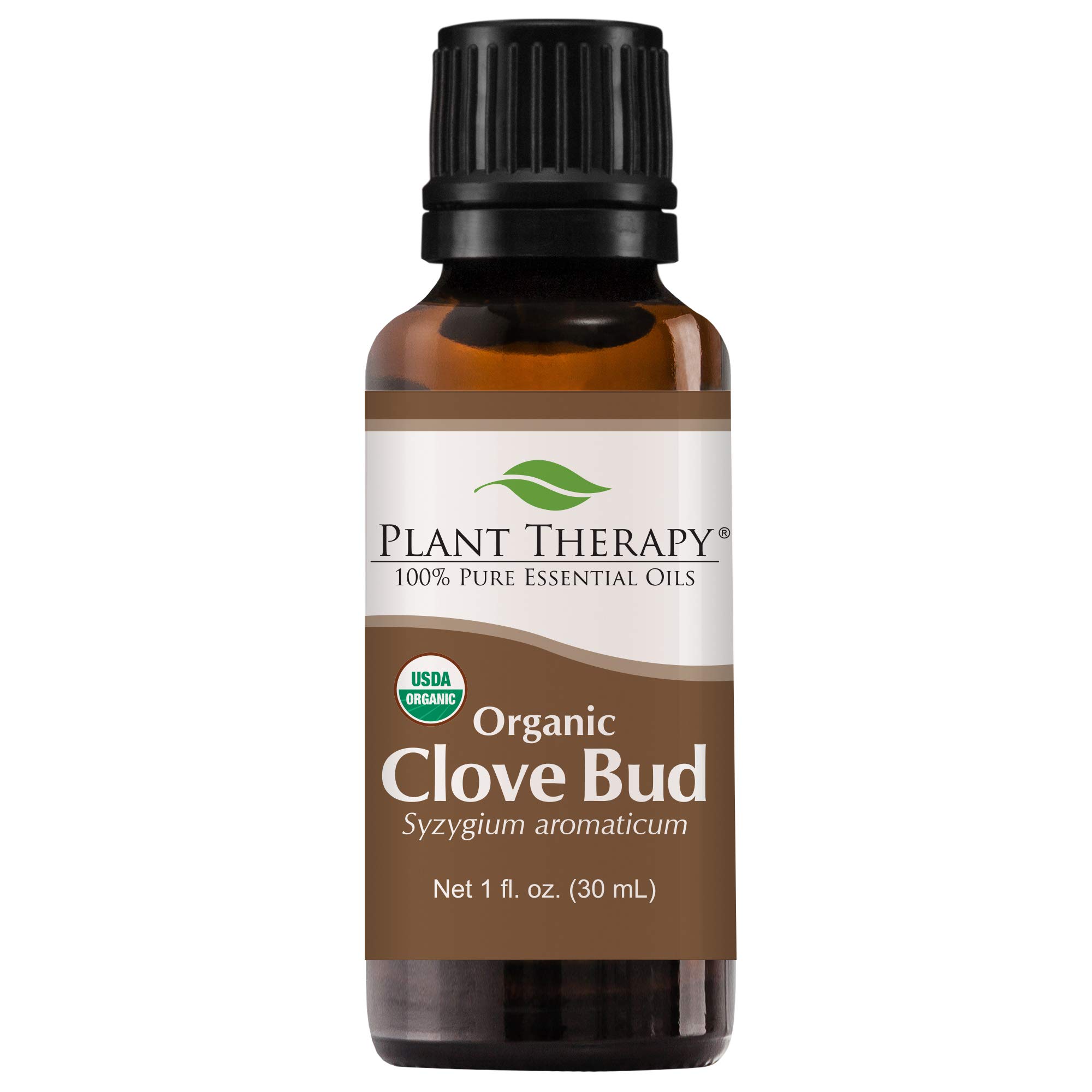 Plant Therapy Organic Clove Bud Essential Oil 100% Pure, USDA Certified Organic, Undiluted, Natural Aromatherapy, Therapeutic Grade 30 mL (1 oz)