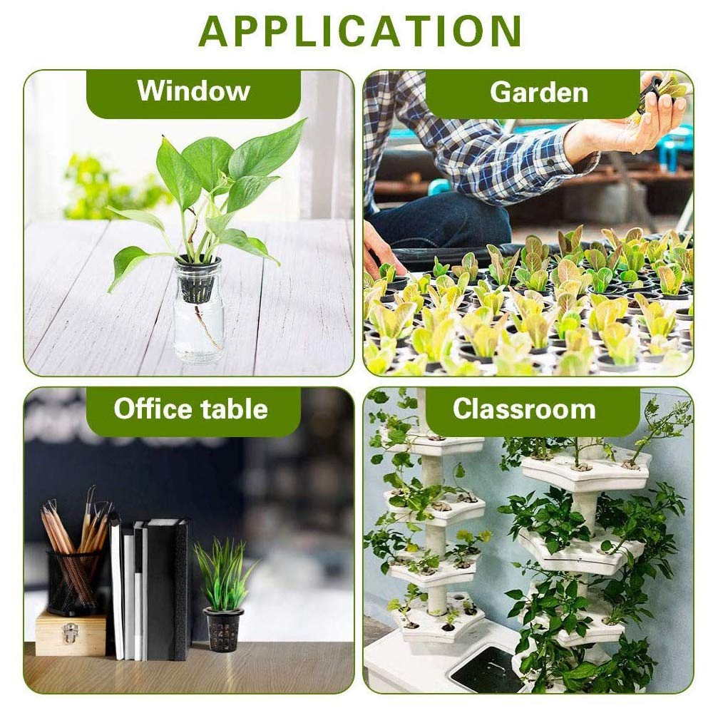 20 Stück Netztöpfe 5,1 Cm – Für Hydroponik, Orchideen & Gemüse