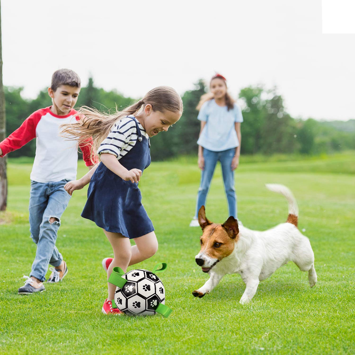 CCLKHY Giocattolo Palla per Cane, Giocattolo Acqua per Cani, Giocatto li Interattivi dell Animale Domestico