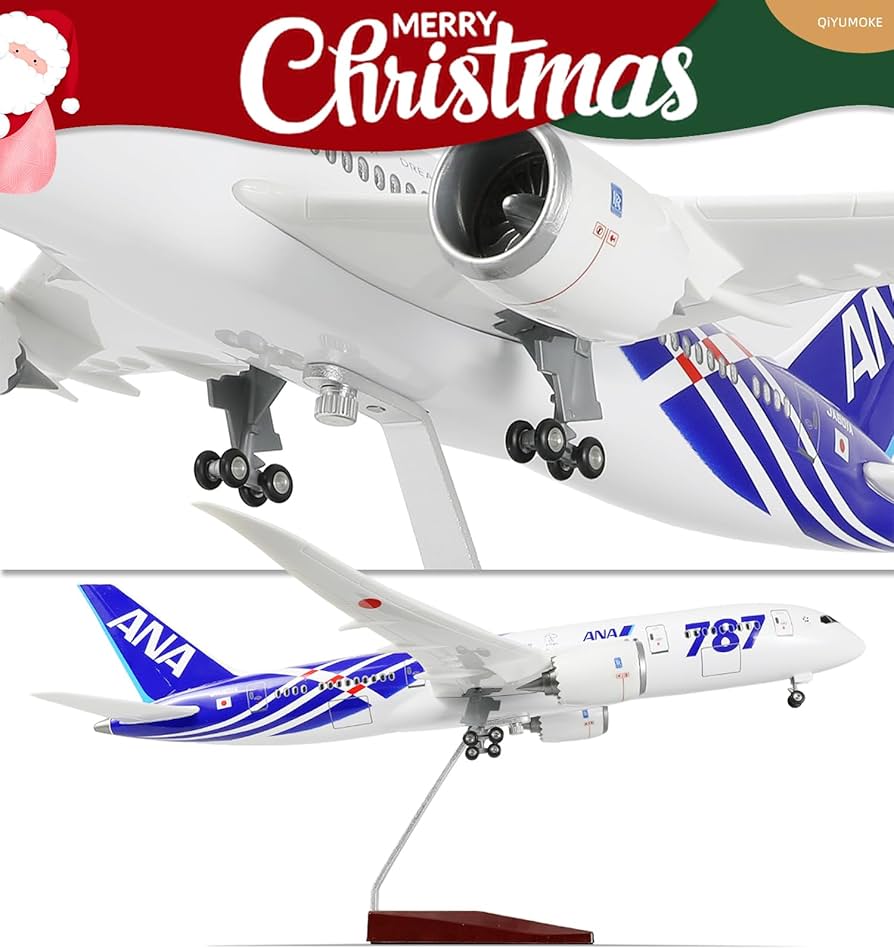 入荷！ ANA Boeing787 1/150 47cmドリームライナー ANAの「ドリームライナー」1号機、羽田に到着 写真21枚 国際ニュース