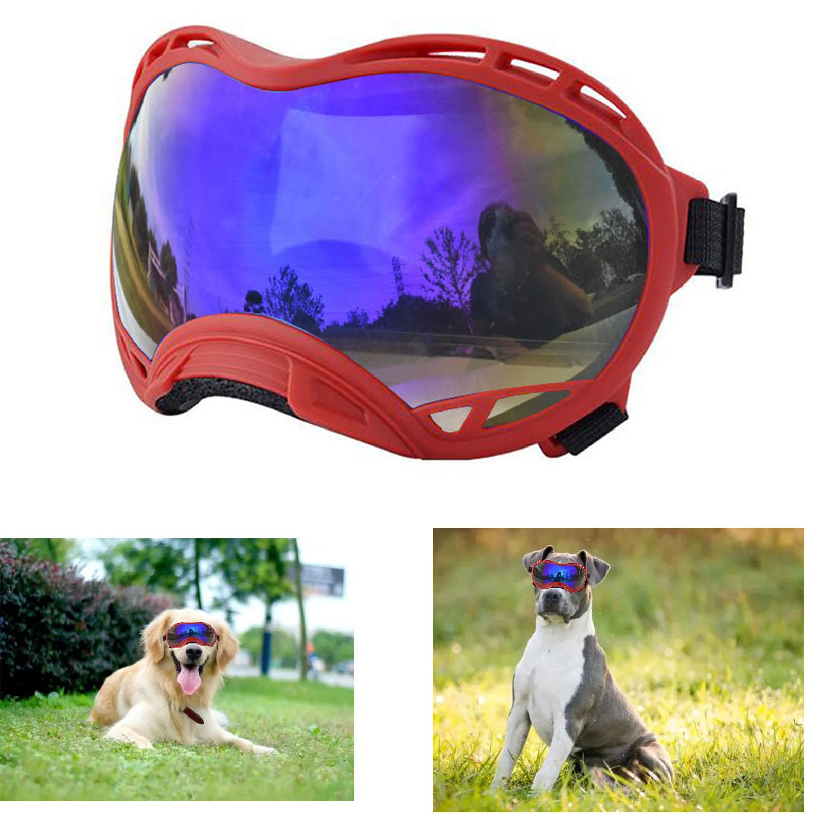 Lunettes pour chien de grande taille pour sorties à la mer et randonnées