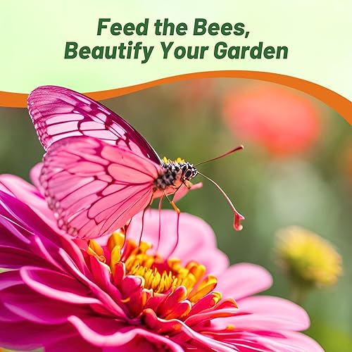 Vista 5 de Outsidepride - Zinnia Elegans, 1000 semillas anuales, Dahlia Pink Luminosa, flores para plantar, color rosado