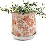 Planters en céramique pour les plantes intérieures avec Saucer, 6 inch Pots de plantes à glaçons avec trous de drainage, pots de fleurs décoratifs pour jardin extérieur, pot toscan pour plante