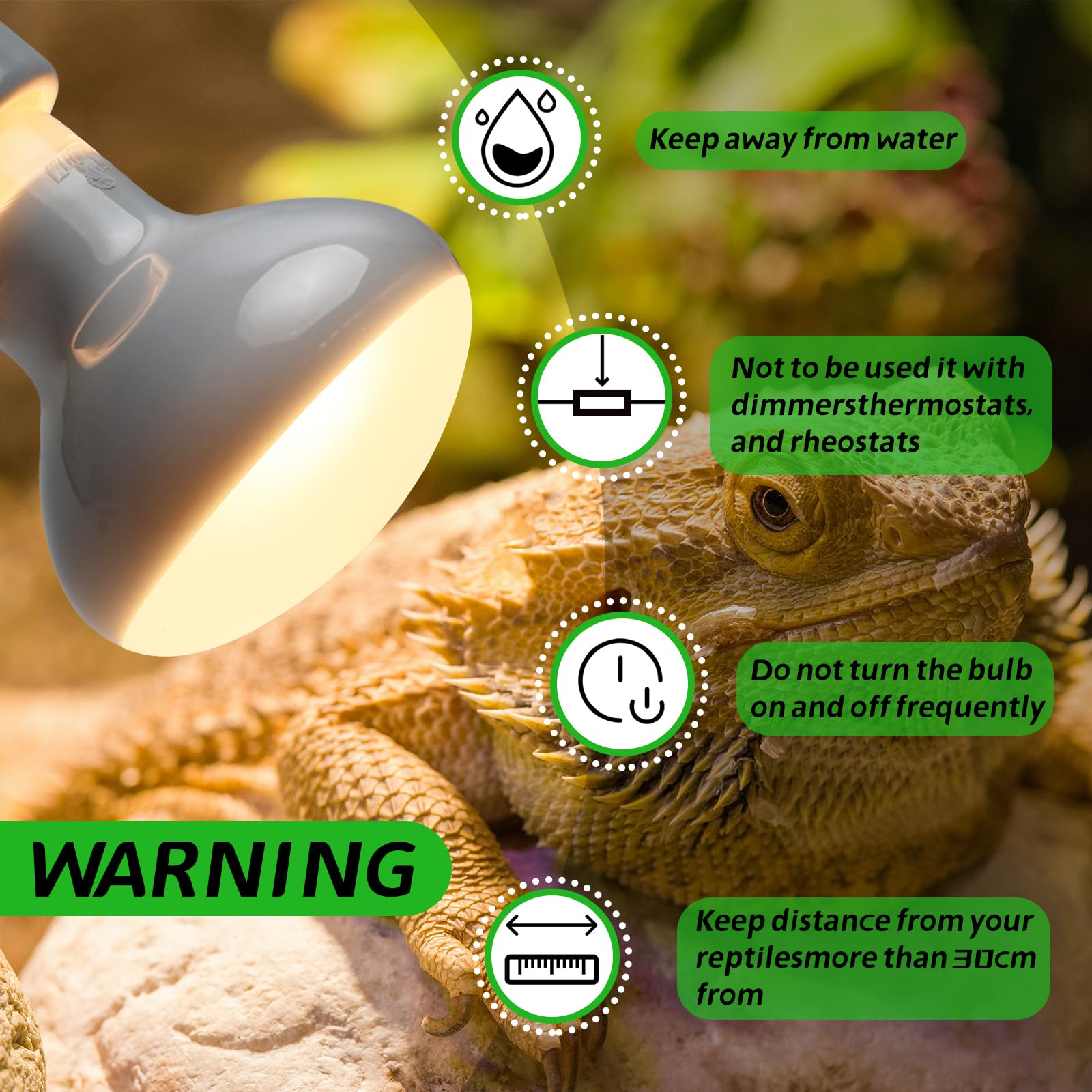 MCLANZOO Lámpara de calor para reptiles de 75 W, paquete de 2, bombillas UVA, lámpara de calor de terrario de luz diurna natural para dragón barbudo, tortuga, tortuga, lagarto, serpiente, geco, pollo