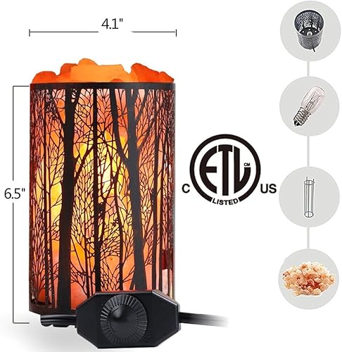 Miniatura 2 de Lámpara de sal del Himalaya, lámpara de roca de sal natural, luz nocturna en bosque, cesta de metal con interruptor de intensidad (4.1 x 6.5