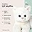 Bearington Lil\' Muffin White Cat Stuffed Animal - 8 Adorable White Cat Plush Toy with Soft Fur and Lifelike Details - Cute and Cuddly Stuffed Kitten Plushy - Adorable Gift for Kids and Toddlers