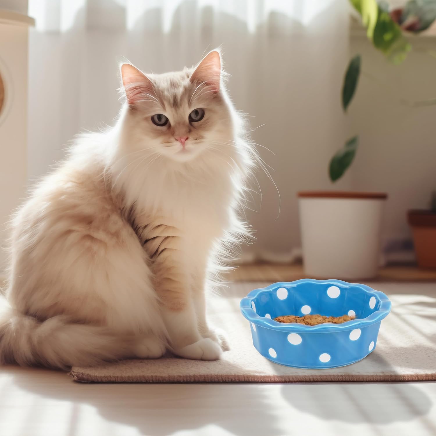 Cat Basic Bowl, Polka Dot Ceramic Pet Food Dish, Non-Slip Bottom Design for Kittens and Small Dogs, Blue