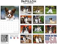 Vista 407 de Razas de Perros 2017