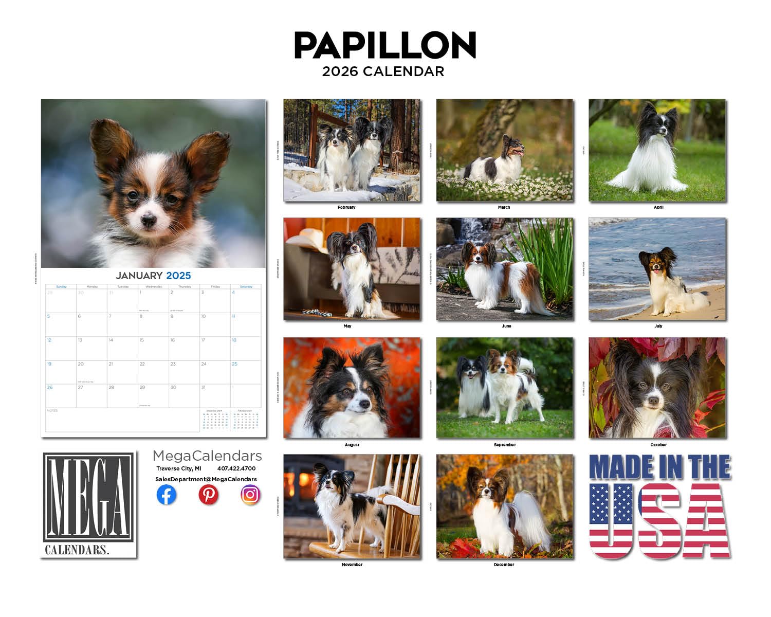 Calendario Papillon 2024 2025 – Calendario mensual de pared de raza de perro – 12 x 18 pulgadas abierto – Papel grueso que no se corre – Regalo – Calendario académico para profesores, organización y