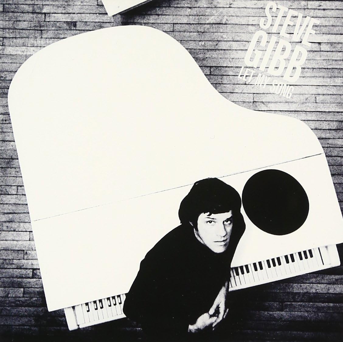 スティーブ・ギブ Steve Gibb Let My Song = モノクローム