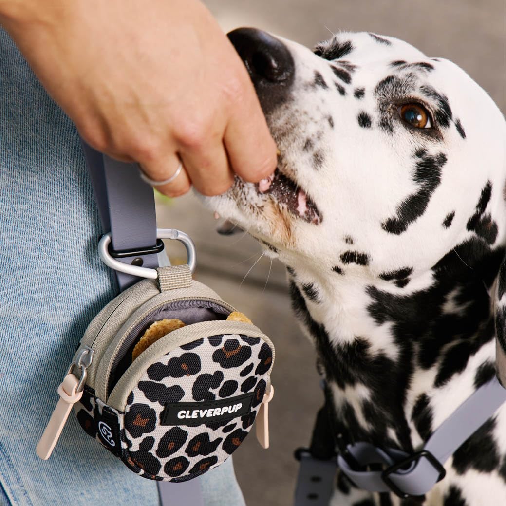 Cleverpup, Snackpack Pochette à friandises à double isolation pour chien – Peut contenir 1,5 tasse – Sac à goûter de dressage et de promenade avec deux poches pour friandises sèches ou humides, se