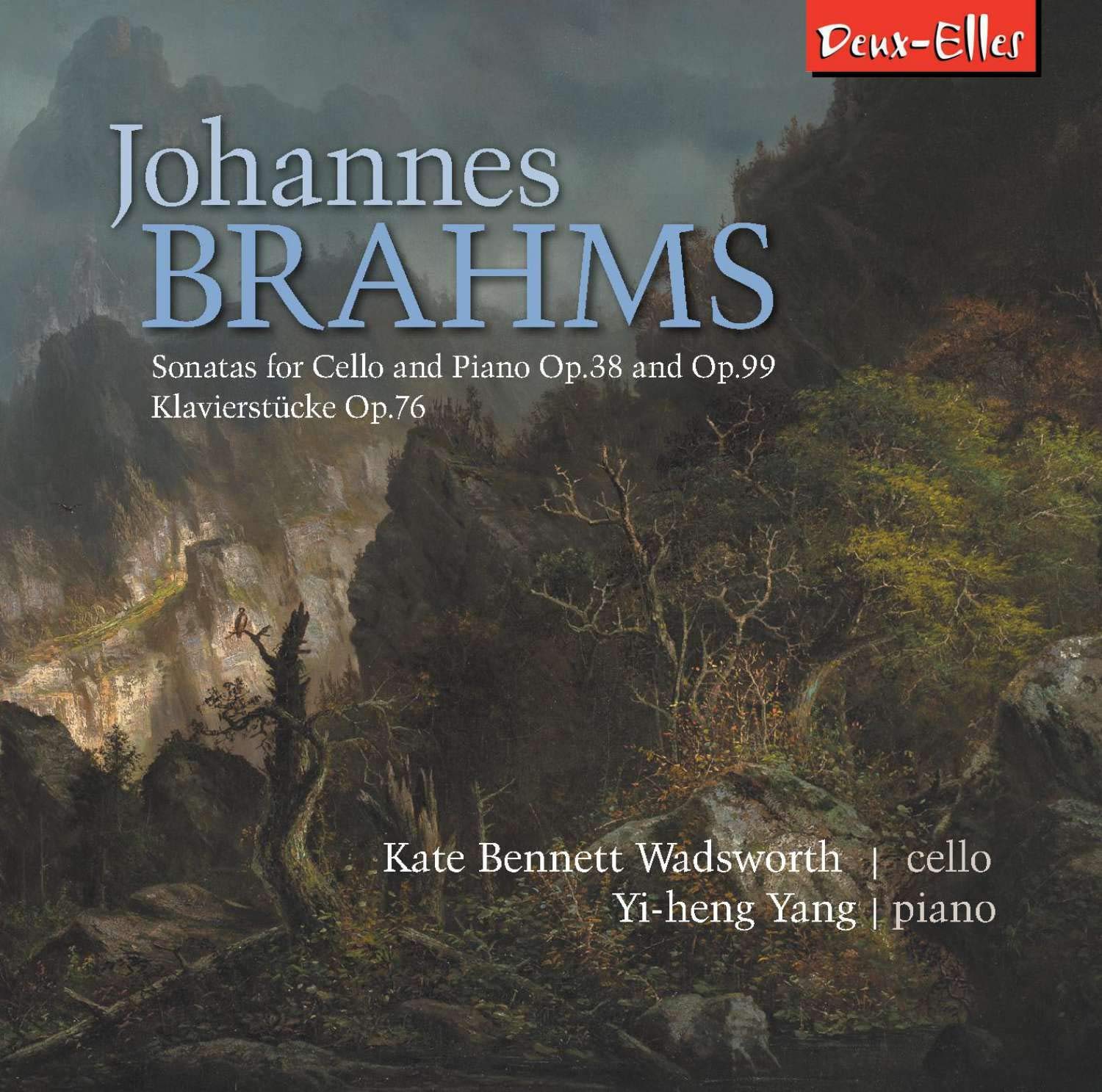 Vinyl Castle Johannes Brahms: Sonatas For Cello And Piano Op.38 And Op.99/...