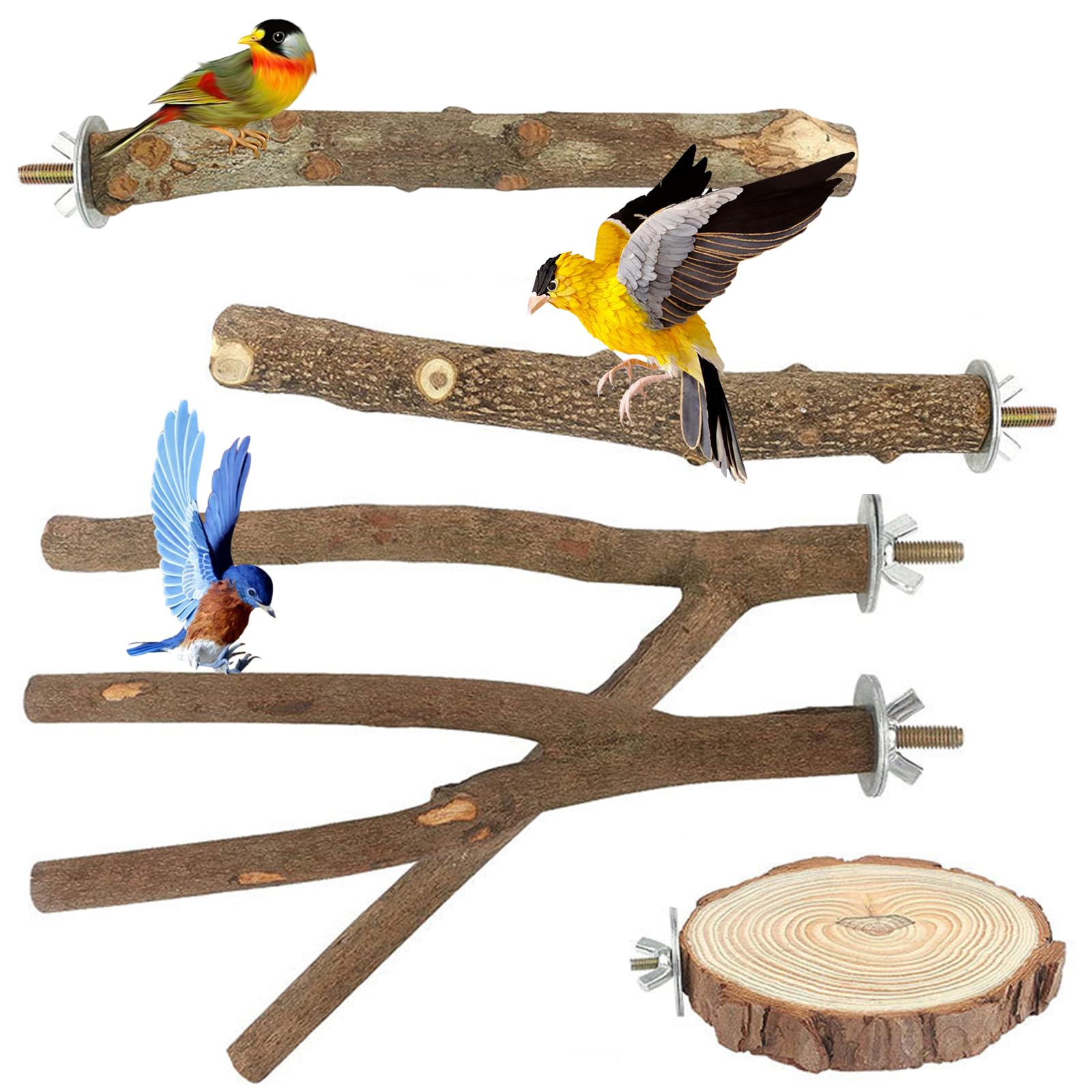Bird Perches, 5 Pcs Natural Wooden Parrot Stand Multi Branch Perch Platform Birdcage Stand for Parrotlets Bird Cage Accessories